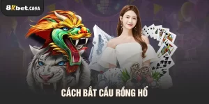 Cách bắt cầu rồng hổ