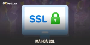 Mã hoá SSL